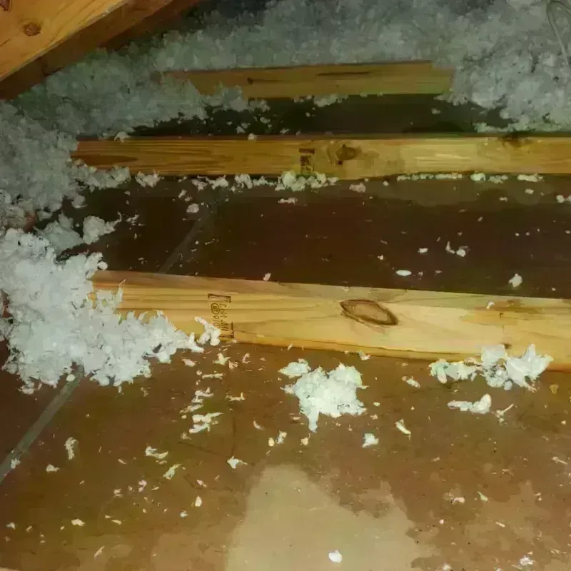 Attic Water Damage in Varnell, GA