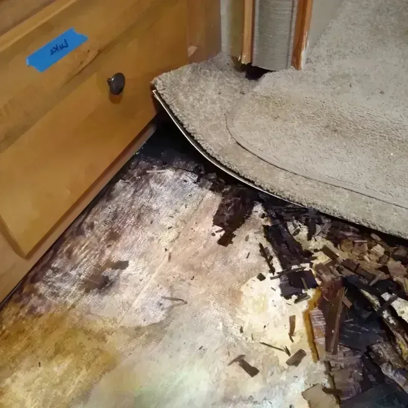 Wood Floor Water Damage in Varnell, GA